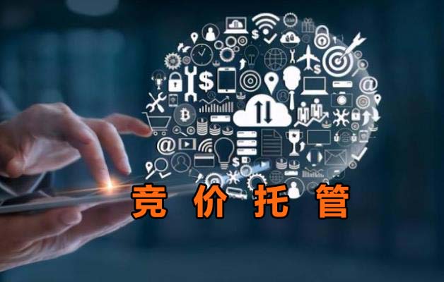 競價托管都有哪些服務內容？