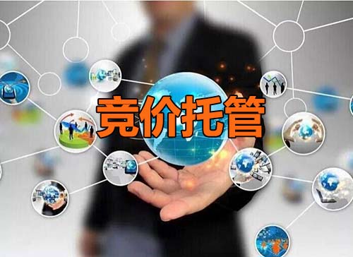怎樣尋找專業的競價托管代運營